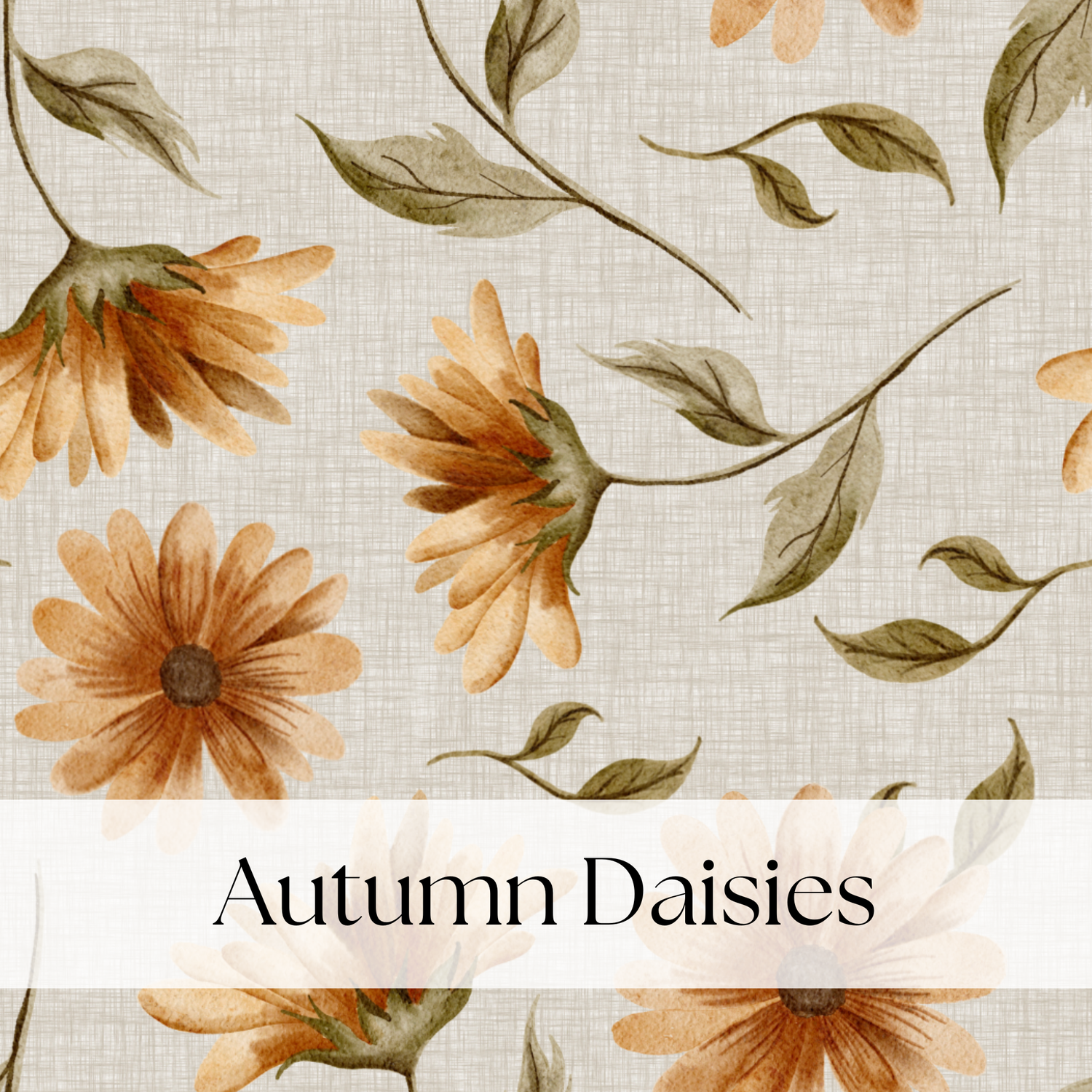 AUTUMN DAISIES