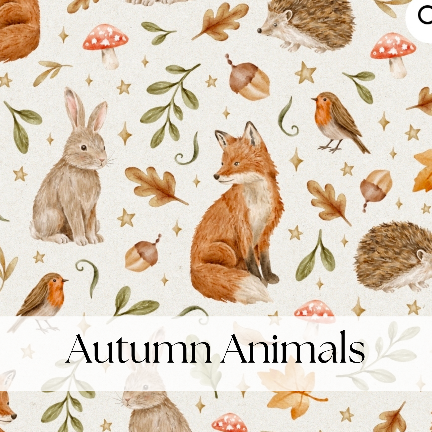 AUTUMN ANIMALS