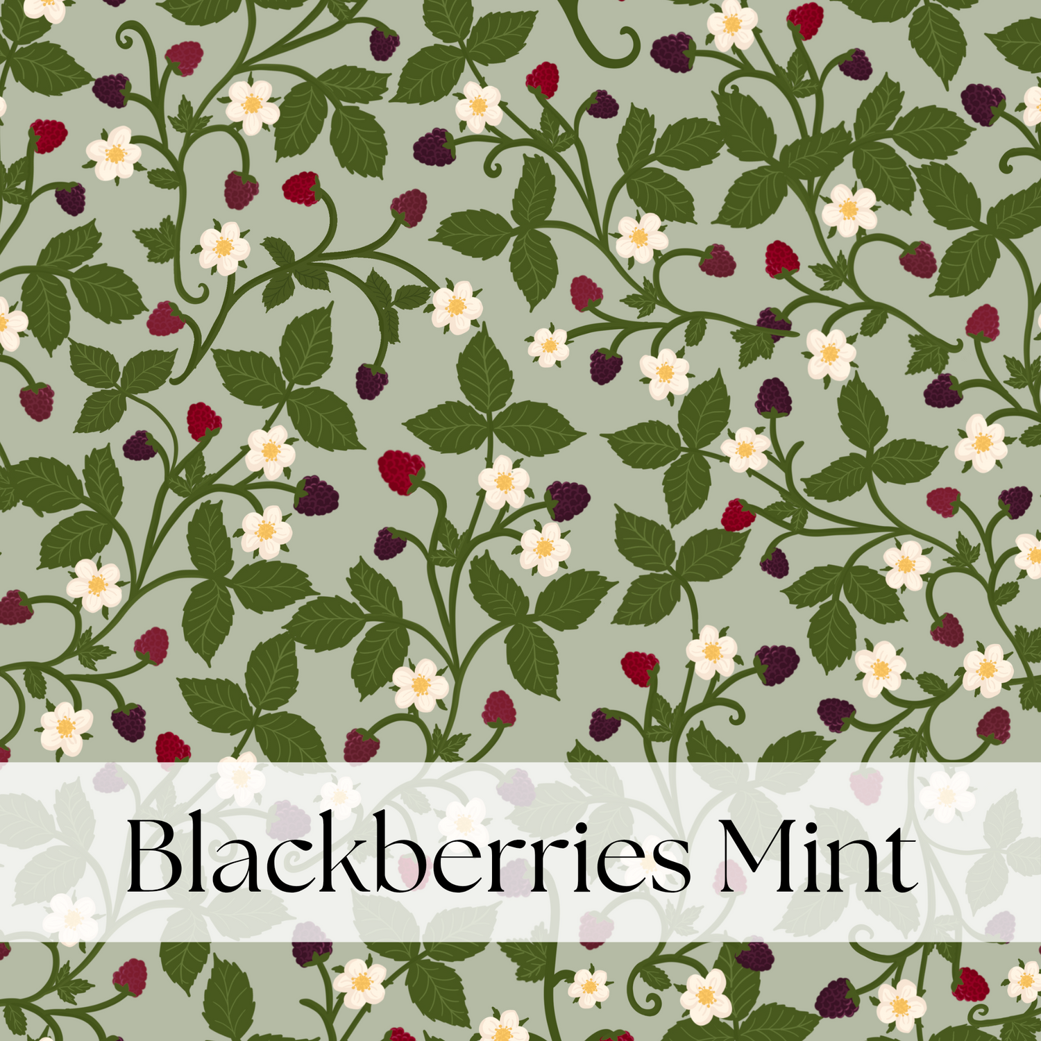 BLACKBERRIES MINT