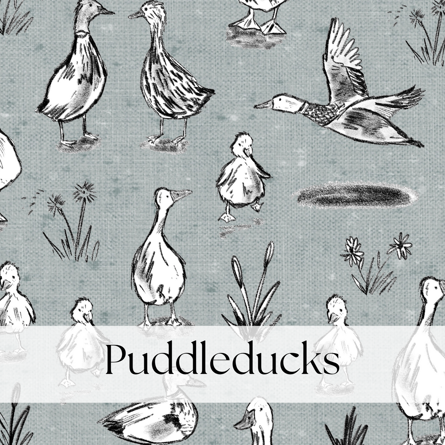 PUDDLEDUCKS