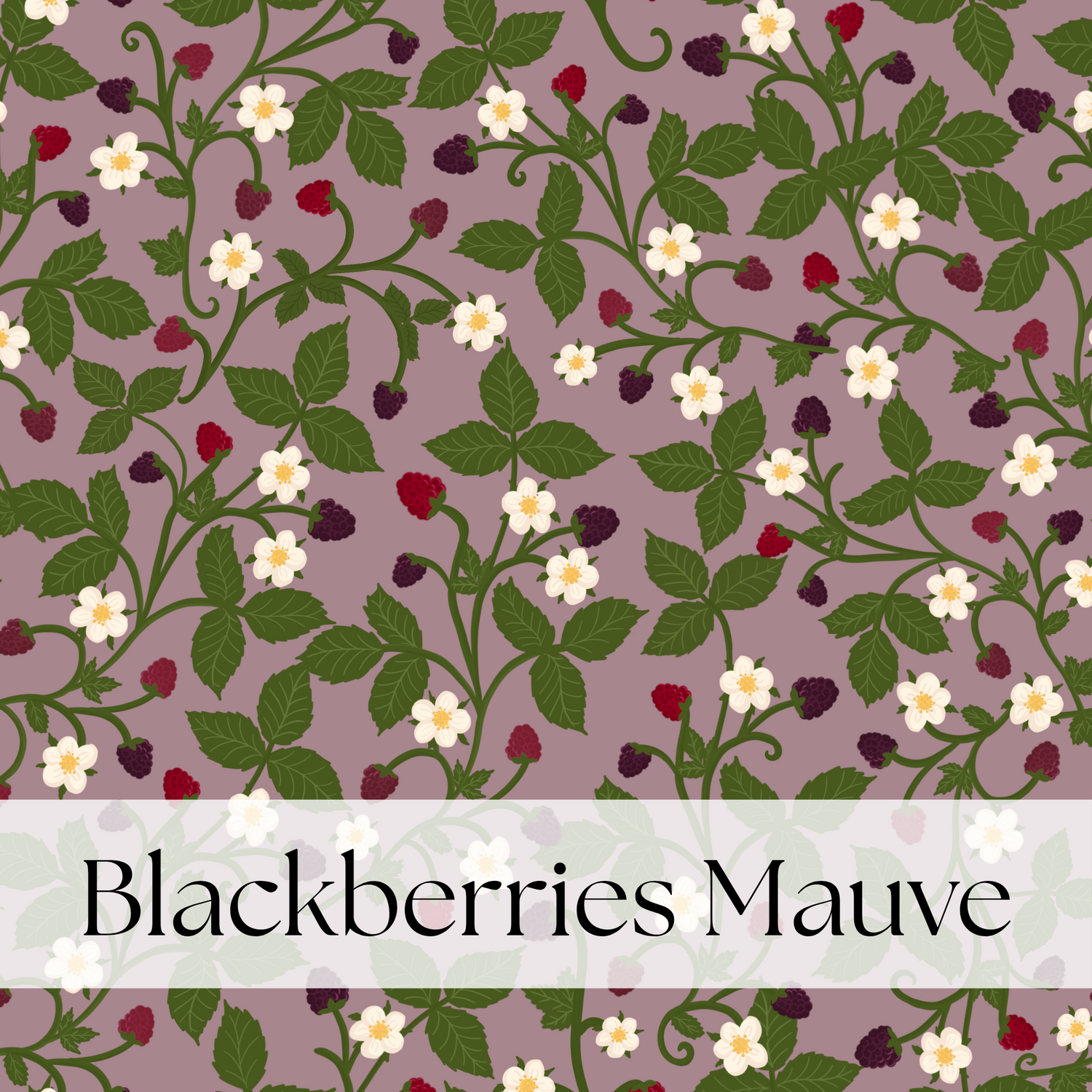 BLACKBERRIES MAUVE