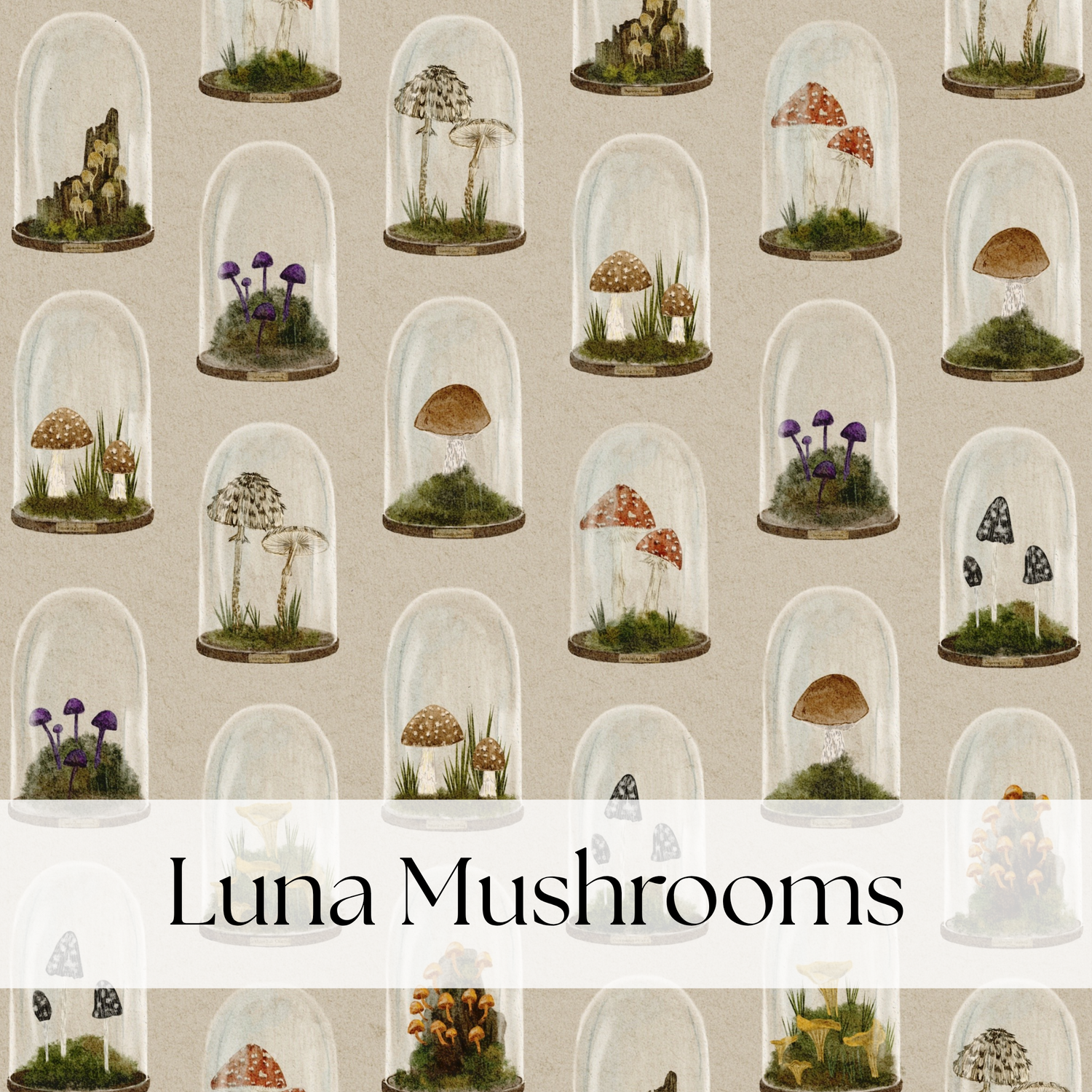 LUNA MUSHROOMS