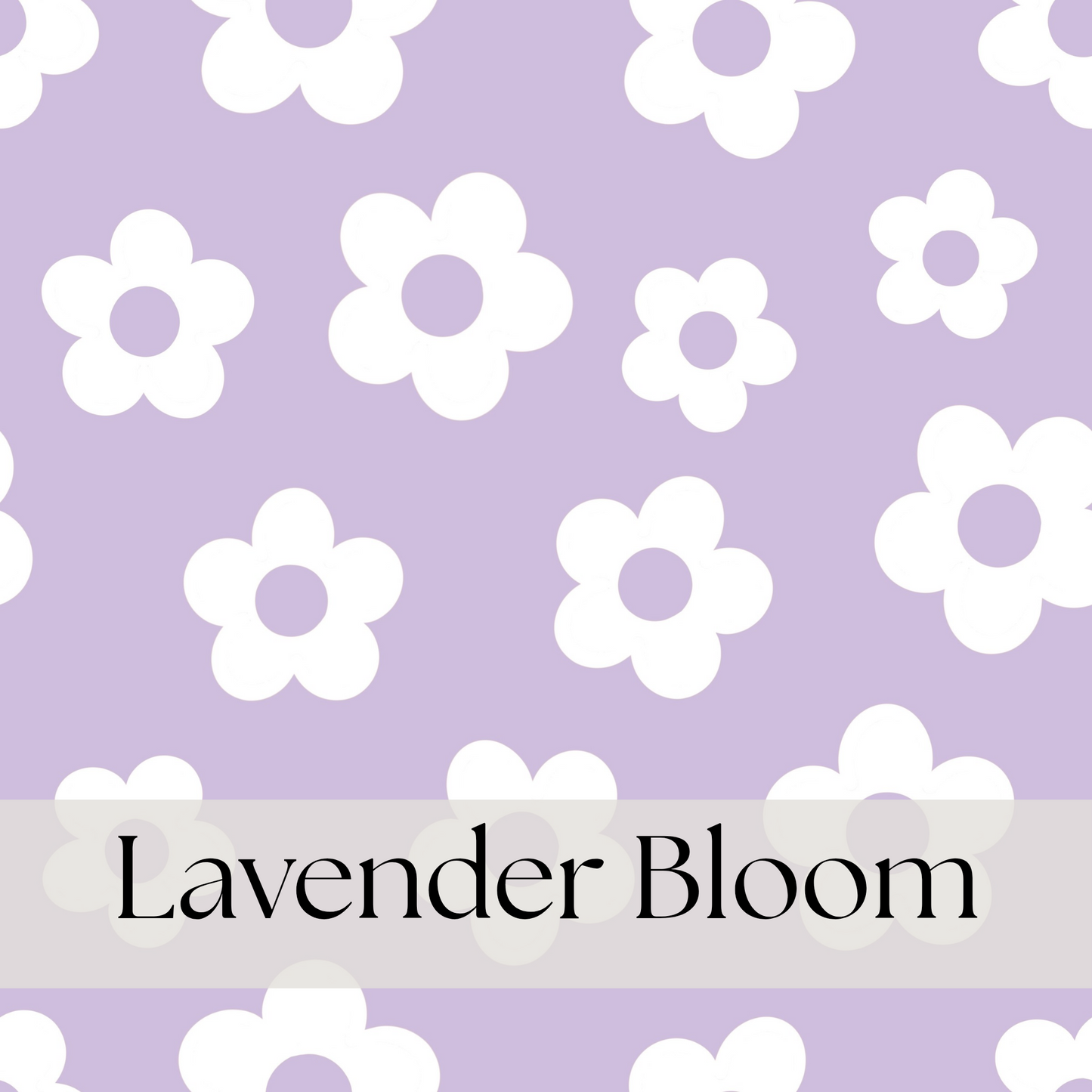 Lavender Bloom